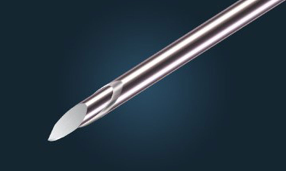 Biopsy needle and stylet