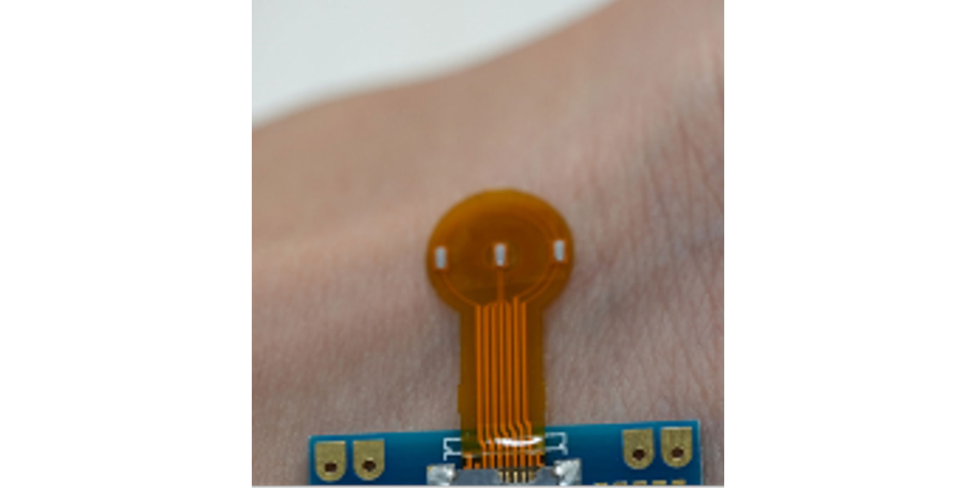 Fluid Monitoring Sensor
